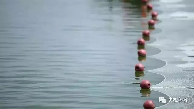 央視聚焦<a href=http://m.qmnd.cn target=_blank class=infotextkey>雙良</a><a href=http://m.qmnd.cn target=_blank class=infotextkey>新型光催化</a>“走進(jìn)科學(xué)”