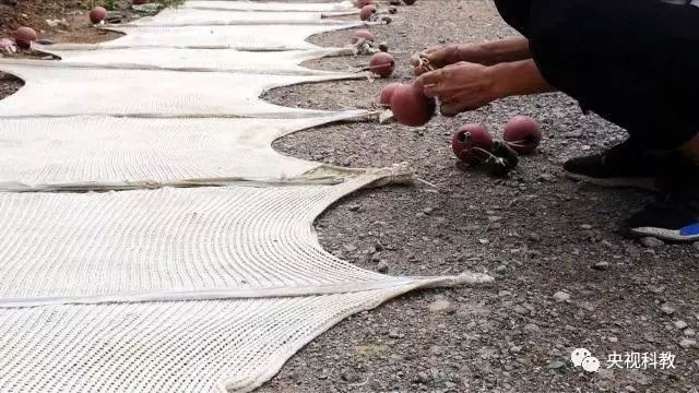 央視聚焦<a href=http://m.qmnd.cn target=_blank class=infotextkey>雙良</a><a href=http://m.qmnd.cn target=_blank class=infotextkey>新型光催化</a>“走進(jìn)科學(xué)”