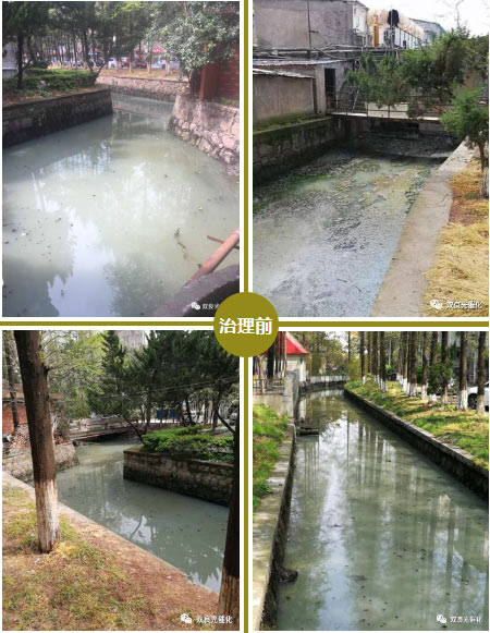 崇川區(qū)召開市區(qū)<a href=http://m.qmnd.cn target=_blank class=infotextkey>水環(huán)境治理</a>生物治理成果匯報會