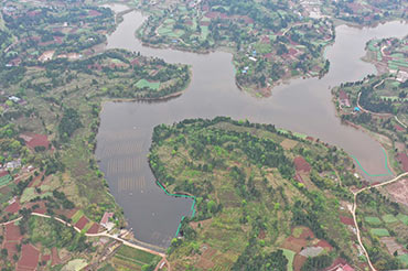 四川資陽(yáng)市雁江區(qū)滴水巖水庫(kù)水體修復(fù)技術(shù)服務(wù)項(xiàng)目