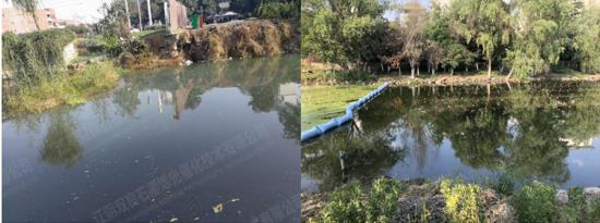 自然河道消除黑臭-江蘇省鎮(zhèn)江市潤州區(qū)頭道河北段