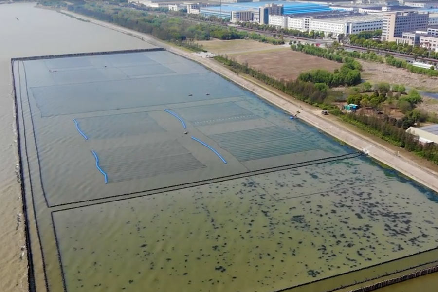 太湖水華控制和水草恢復光催化<a href=http://m.qmnd.cn target=_blank class=infotextkey>水生態(tài)修復</a>示范項目