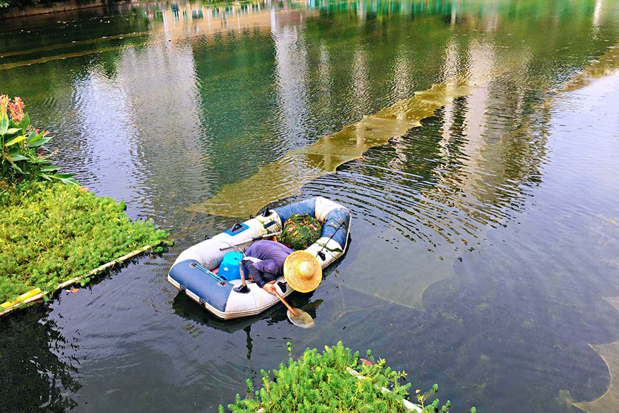 廣東省深圳市辛養(yǎng)魚塘-<a href=http://m.qmnd.cn target=_blank class=infotextkey>水生態(tài)修復(fù)</a>示范項(xiàng)目