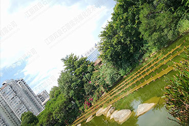 景觀水體水質提升-福建省龍巖市石鑼鼓濕地公園