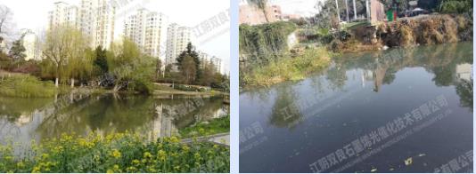 鎮(zhèn)江市潤州區(qū)頭道<a href=http://m.qmnd.cn target=_blank class=infotextkey>河道治理</a>