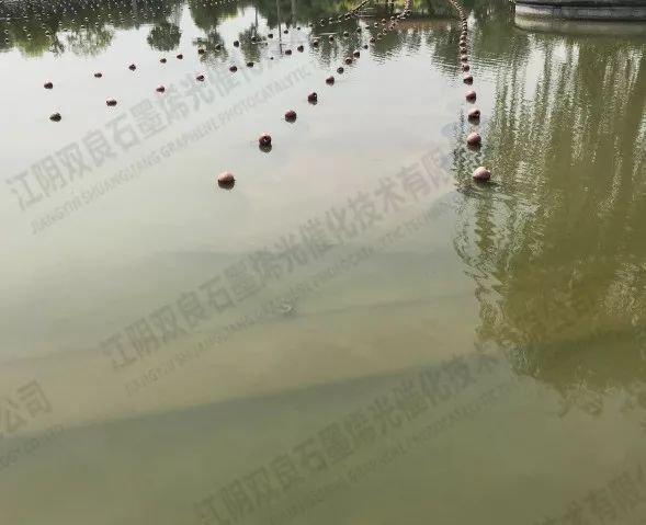 <a href=http://m.qmnd.cn target=_blank class=infotextkey>河道治理</a>