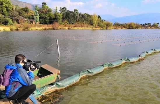 且看這個“不簡單的網”如何改善大理洱源<a href=http://m.qmnd.cn target=_blank class=infotextkey>水生態(tài)修復</a>環(huán)境