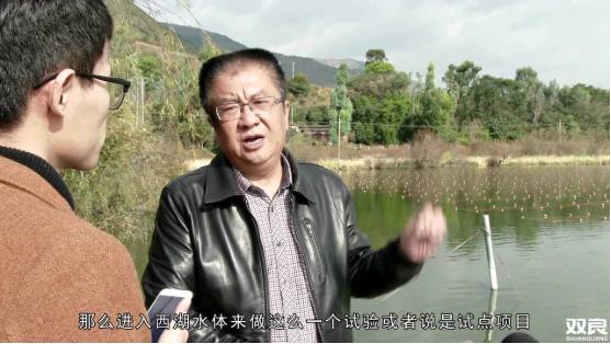 洱源西湖<a href=http://m.qmnd.cn target=_blank class=infotextkey>水環(huán)境治理</a><a href=http://m.qmnd.cn/hp/ target=_blank class=infotextkey>湖泊修復(fù)</a>碧水藍(lán)天