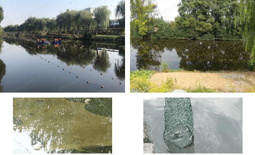 江陰市濱江河黑臭水體<a href=http://m.qmnd.cn target=_blank class=infotextkey>河道治理</a>