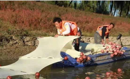 <a href=http://m.qmnd.cn target=_blank class=infotextkey>雙良</a>光催化為通州鳳港減河專門治水體