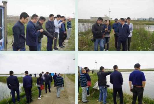 四川省資陽市雁江區(qū)政府領(lǐng)導(dǎo)蒞臨<a href=http://m.qmnd.cn target=_blank class=infotextkey>雙良</a>考察調(diào)研