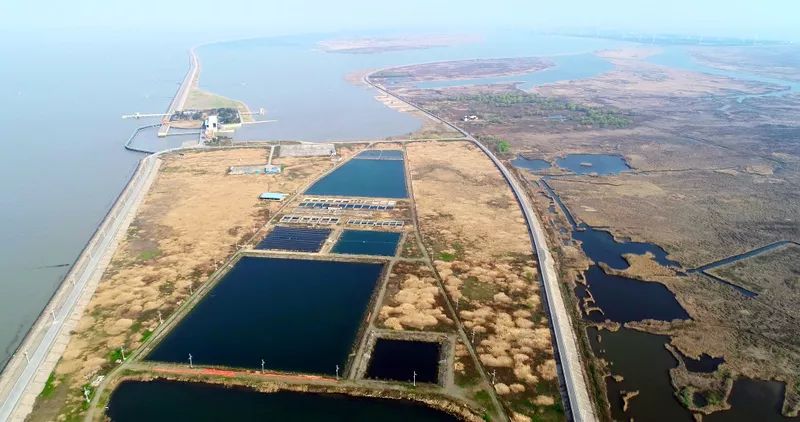 中國(guó)第一大城市飲用水<a href=http://m.qmnd.cn/yysyd/ target=_blank class=infotextkey>水源地治理</a>技術(shù)突破