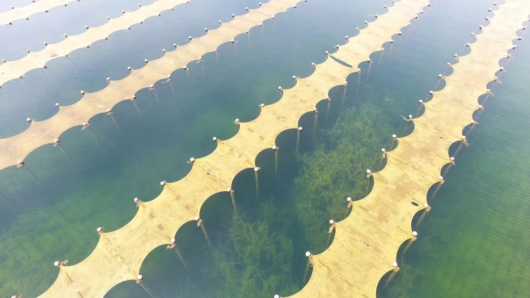 “光催化技術(shù)提升飲用水源地水質(zhì)工程應(yīng)用專家評審會”在上?？茖W(xué)會堂順利召開