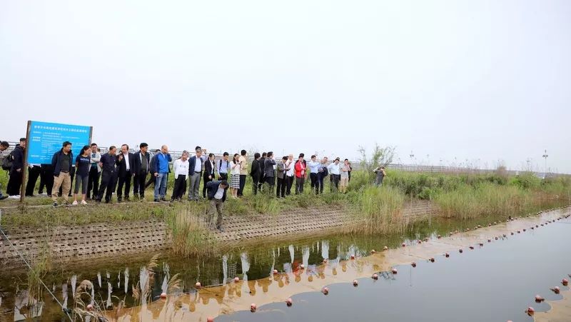 中國(guó)第一大城市飲用水<a href=http://m.qmnd.cn/yysyd/ target=_blank class=infotextkey>水源地治理</a>技術(shù)突破