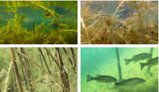 <a href=http://m.qmnd.cn/yysyd/ target=_blank class=infotextkey>水源地治理</a>