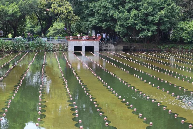 江蘇雙良的夏天每個產(chǎn)業(yè)都有不一樣的曲風