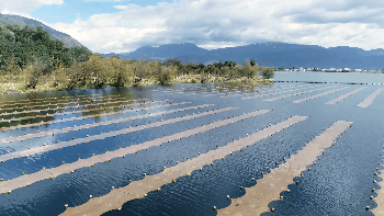 湖北省竹山縣長江大保護(hù)水環(huán)境治理PPP項目（第二次）資格預(yù)審公告