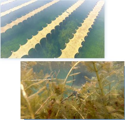 <a href=http://m.qmnd.cn target=_blank class=infotextkey><a href=http://m.qmnd.cn target=_blank class=infotextkey>雙良</a>環(huán)境</a><a href=http://m.qmnd.cn target=_blank class=infotextkey>新型光催化</a>技術(shù)率先打響“抗生素戰(zhàn)役