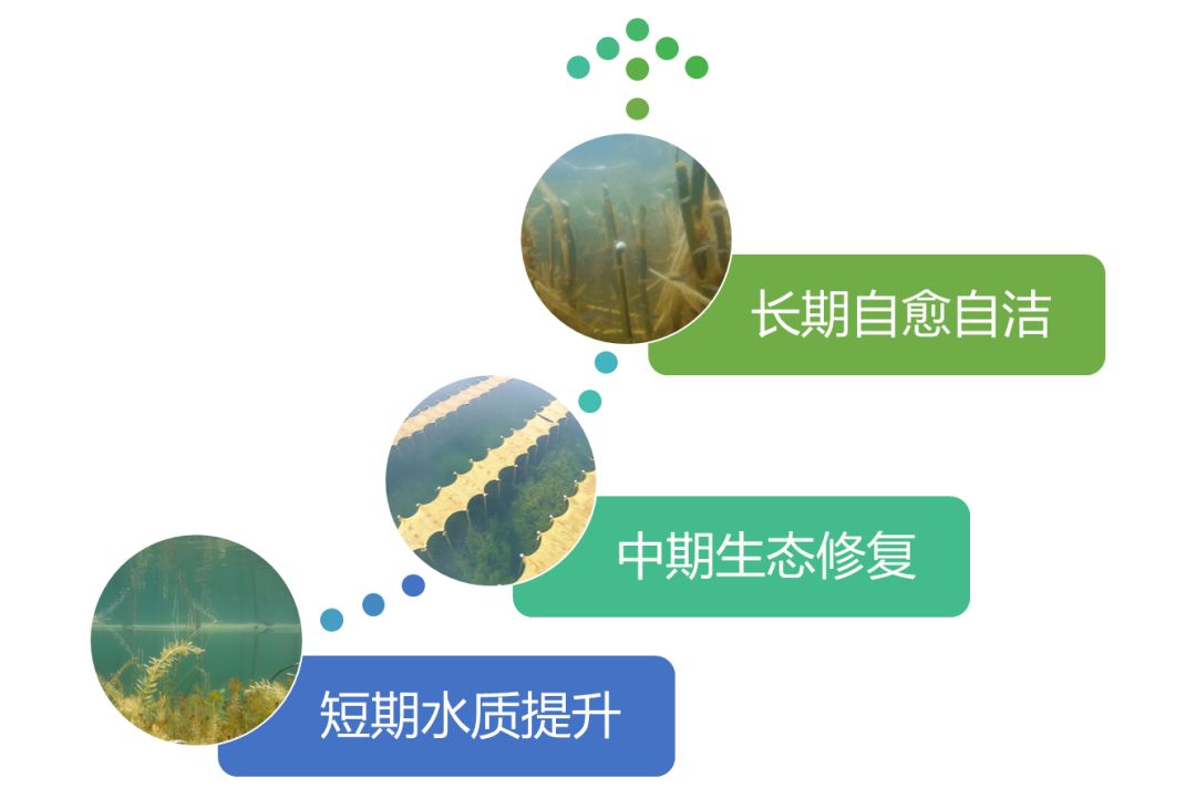 2020<a href=http://m.qmnd.cn target=_blank class=infotextkey><a href=http://m.qmnd.cn target=_blank class=infotextkey>雙良</a>環(huán)境</a>春招開(kāi)啟