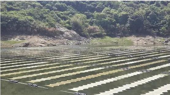 <a href=http://m.qmnd.cn target=_blank class=infotextkey><a href=http://m.qmnd.cn target=_blank class=infotextkey>雙良</a>環(huán)境</a><a href=http://m.qmnd.cn target=_blank class=infotextkey>新型光催化</a>技術幫助嵊泗提升水庫水質