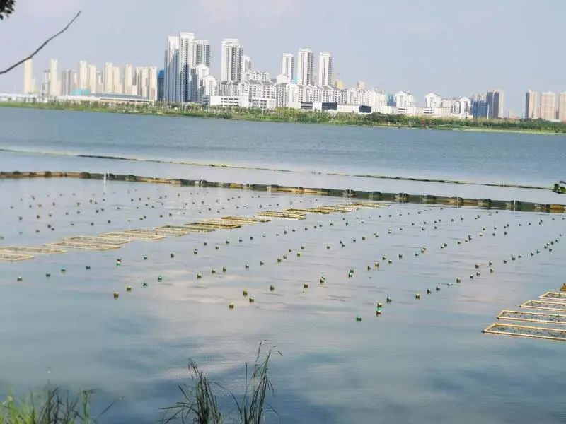 <a href=http://m.qmnd.cn target=_blank class=infotextkey><a href=http://m.qmnd.cn target=_blank class=infotextkey>雙良</a>環(huán)境</a>乘風(fēng)破浪的三石弟弟