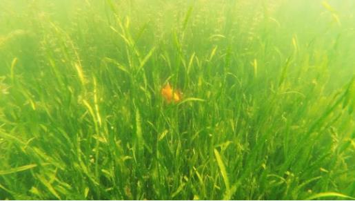 <a href=http://m.qmnd.cn target=_blank class=infotextkey><a href=http://m.qmnd.cn target=_blank class=infotextkey>雙良</a>環(huán)境</a>召開(kāi)2021年一季度營(yíng)銷(xiāo)會(huì)議