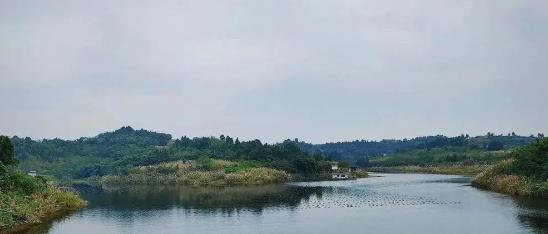 【環(huán)境保護】為百姓守護一泓清水雁江區(qū)鄉(xiāng)鎮(zhèn)集中式飲用水水源地穩(wěn)定達標