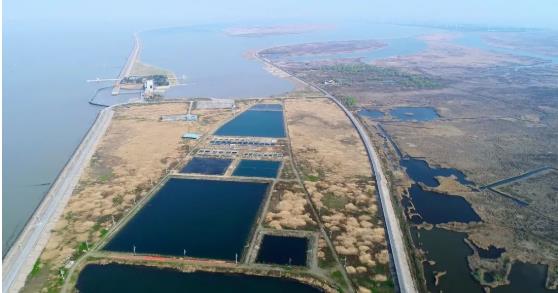 改善<a href=http://m.qmnd.cn target=_blank class=infotextkey>水環(huán)境修復(fù)</a>水生態(tài)是我們的使命！