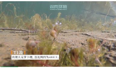 保護生物多樣性雙良環(huán)境在行動！