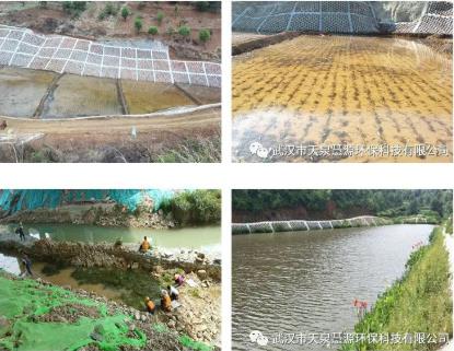 到2025年，基本消除大面積農(nóng)村黑臭水體