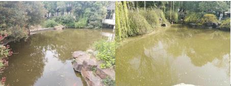 湖泊治理為什么水生態(tài)是核心？