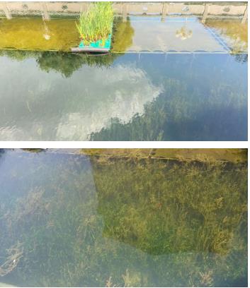 新聞轉載｜【堅決打贏杞麓湖保護治理攻堅戰(zhàn)】玉溪市“湖泊革命”指揮部新聞發(fā)布會召開