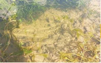 新聞轉(zhuǎn)載｜靜?！吧鷳B(tài)管家”，厲害！