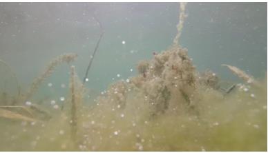 多地發(fā)布水環(huán)境治理項(xiàng)目，水利展重磅發(fā)布！