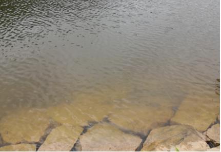 資陽(yáng)重拳整治老鷹水庫(kù)非法垂釣，擬立法保護(hù)飲用水源