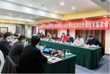 國(guó)際先進(jìn)！雙良環(huán)境這項(xiàng)首創(chuàng)技術(shù)通過(guò)專(zhuān)家權(quán)威鑒定